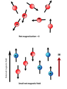 disposizione degli idrogeni: sopra in modo casuale, sotto dopo l'applicazione del campo magnetico esterno.