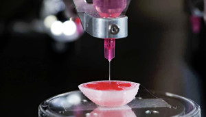 3D Bioprinting