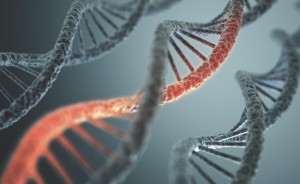 DNA, medicina rigenerativa