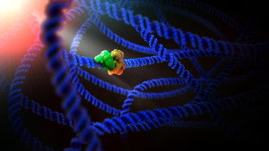 Protein molecule structure