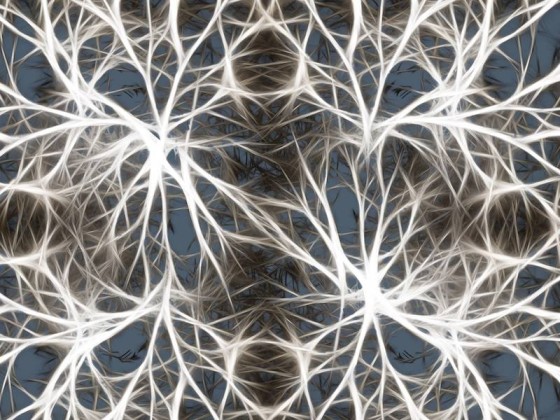 Neurons.