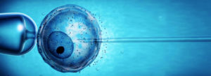 assisted reproduction