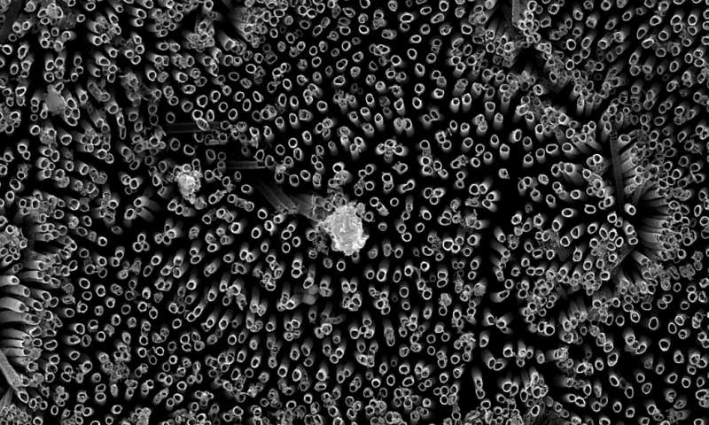 Nanotubi fluorurati creano una migliore superficie idrofobica negli esperimenti della CSU