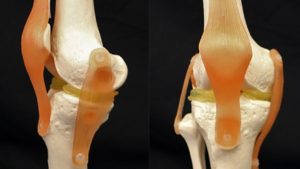 Cartilagine 3D: idrogel e nanoparticelle di argilla