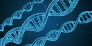 DNA in 3D: uno studio italiano pone le basi per ricostruirne l'architettura