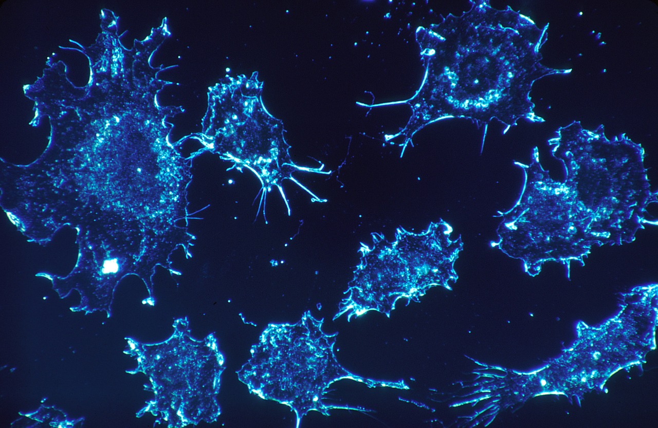 Combattere il cancro con il calore: ecco le nanoparticelle autoregolanti
