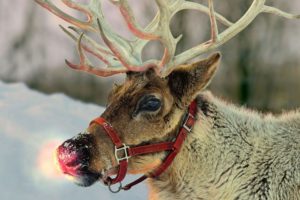 Rudolph la renna con il naso rosso