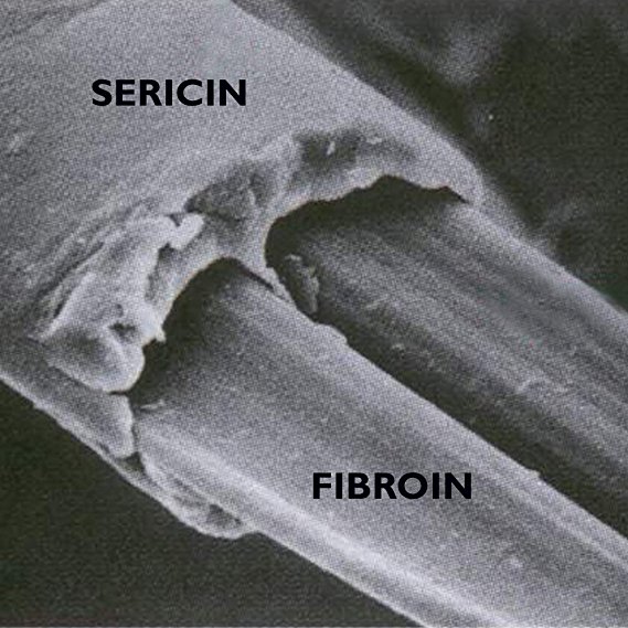 Fibroina di seta in campo biomedicale