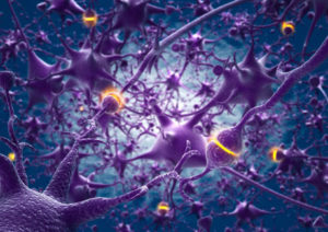 Alzheimer: identificati nuovi geni che innescano la malattia