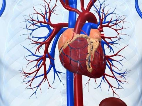 Macchina cuore-polmone: come funziona?