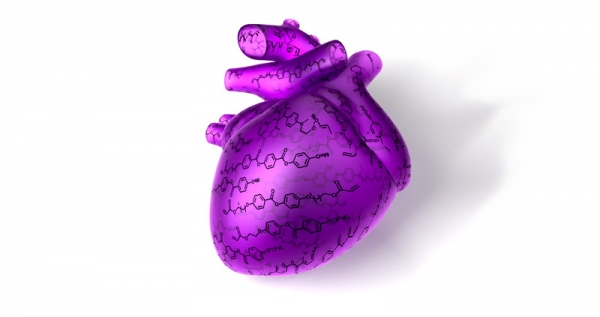 Nuovo biomateriale riproduce le proprietà meccaniche del cuore umano