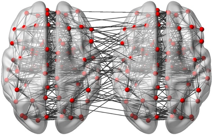 BrainNet-Viewer-illustrates-the-interactions-between-two-brains-as-demonstrated-here