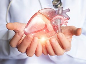 Nuovo biomateriale riproduce le proprietà meccaniche del cuore umano