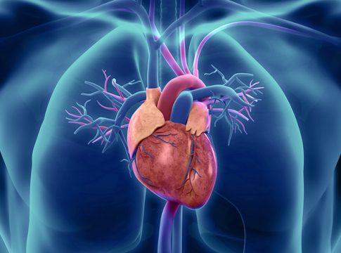 V-LAP: il microchip per il monitoraggio cardiaco arriva anche in Italia