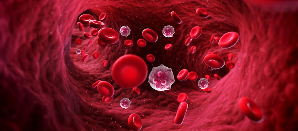 Un laser per scovare e distruggere le cellule tumorali nel sangue