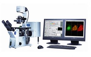 Microscopia confocale: diagnosi dei tumori della pelle in 10 minuti