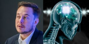 Musk rivela la tecnologia di Neuralink per collegare il cervello al computer