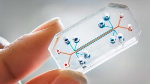 Organs-on-a-chip