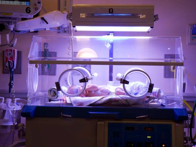 utero artificiale incubatrice bambino nascita
