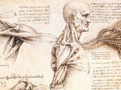 Leonardo Da Vinci: antenato della Bioingegneria
