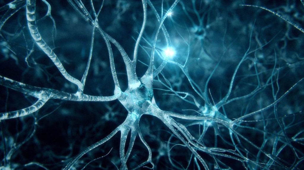 Alzheimer: identificati nuovi geni che innescano la malattia