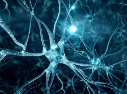 Alzheimer: identificati nuovi geni che innescano la malattia