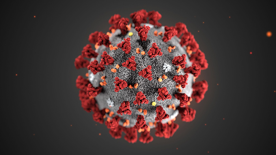 Coronavirus vie di trasmissioni