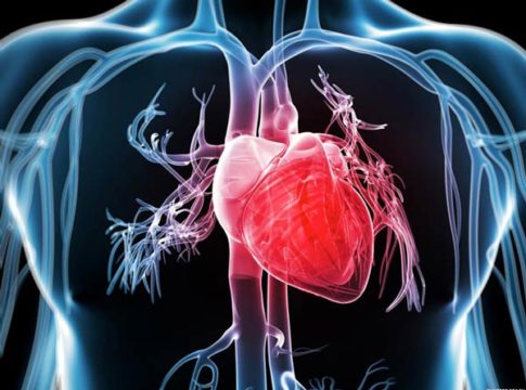ciclo cardiaco