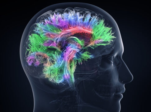 Studiare le neuroscienze con un topo virtuale