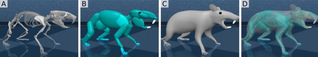 Studiare le neuroscienze con un topo virtuale. Credits: Deep Mind e Harvard University