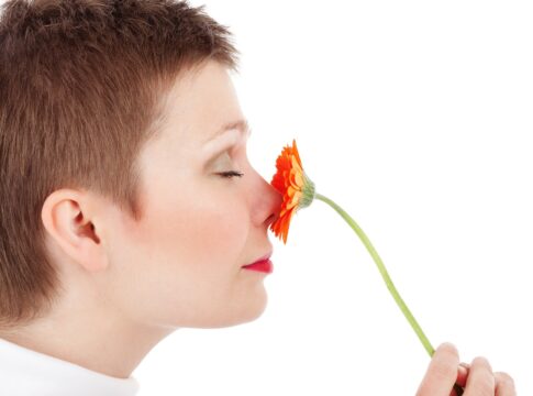 Il primo odore artificiale percepito dalle cellule del cervello