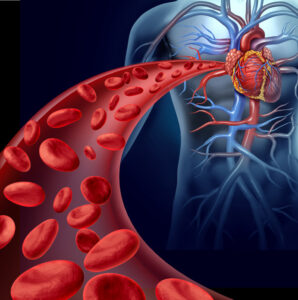 globuli rossi artificiali sangue sistema cardiocircolatorio tumore