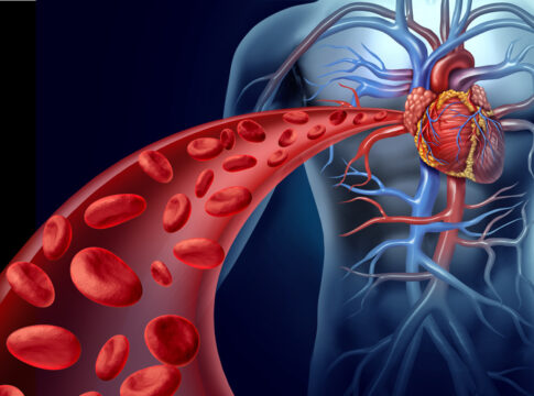 globuli rossi artificiali sangue sistema cardiocircolatorio tumore