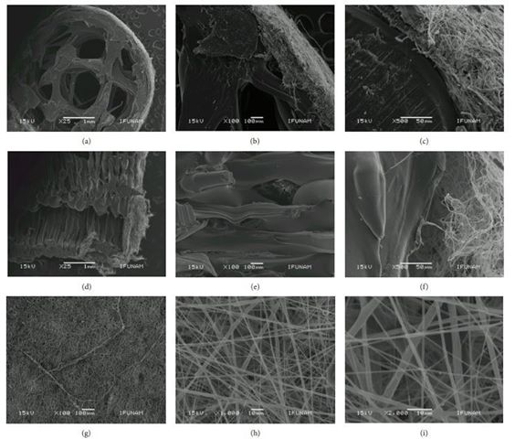 Bioprinting per la rigenerazione ossea con impalcature tubolari rivestite in nanofibre