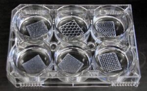 Scaffold 3D bioprinting