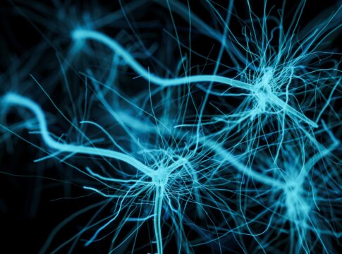 Nanoparticelle d’oro per salvare i neuroni dalla morte cellulare