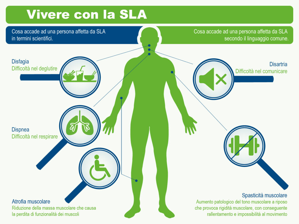 È stata impiantata nell'uomo la prima interfaccia neurale endovascolare. Credits: ARISLA