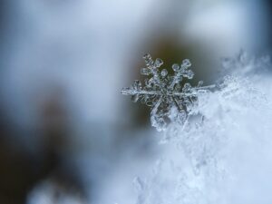 Il freddo è alle porte, ma perché alcuni lo soffrono più degli altri?