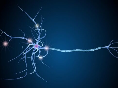 Sclerosi multipla, svolta nella ricerca: le cellule che producono mielina sono sane ma bloccate dall’infiammazione