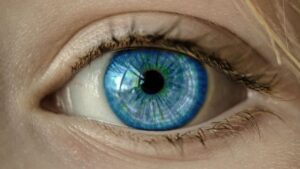 Prima retina artificiale bioibrida per il trattamento dell'AMD