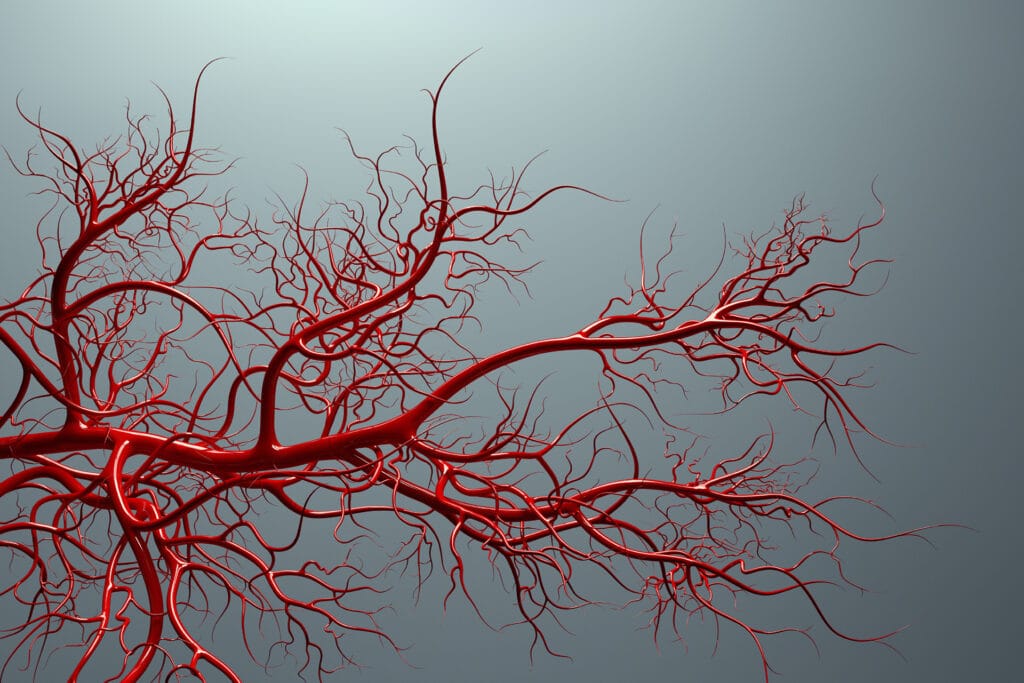 Biostampa 3D: una nuova strategia per creare vasi sanguigni