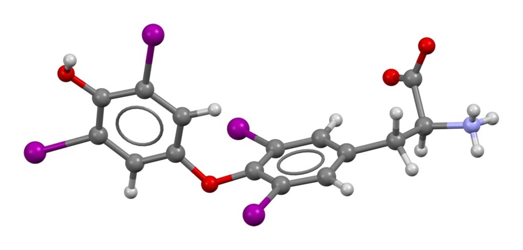 levotiroxina Credits: Ben Mills/Wikipedia