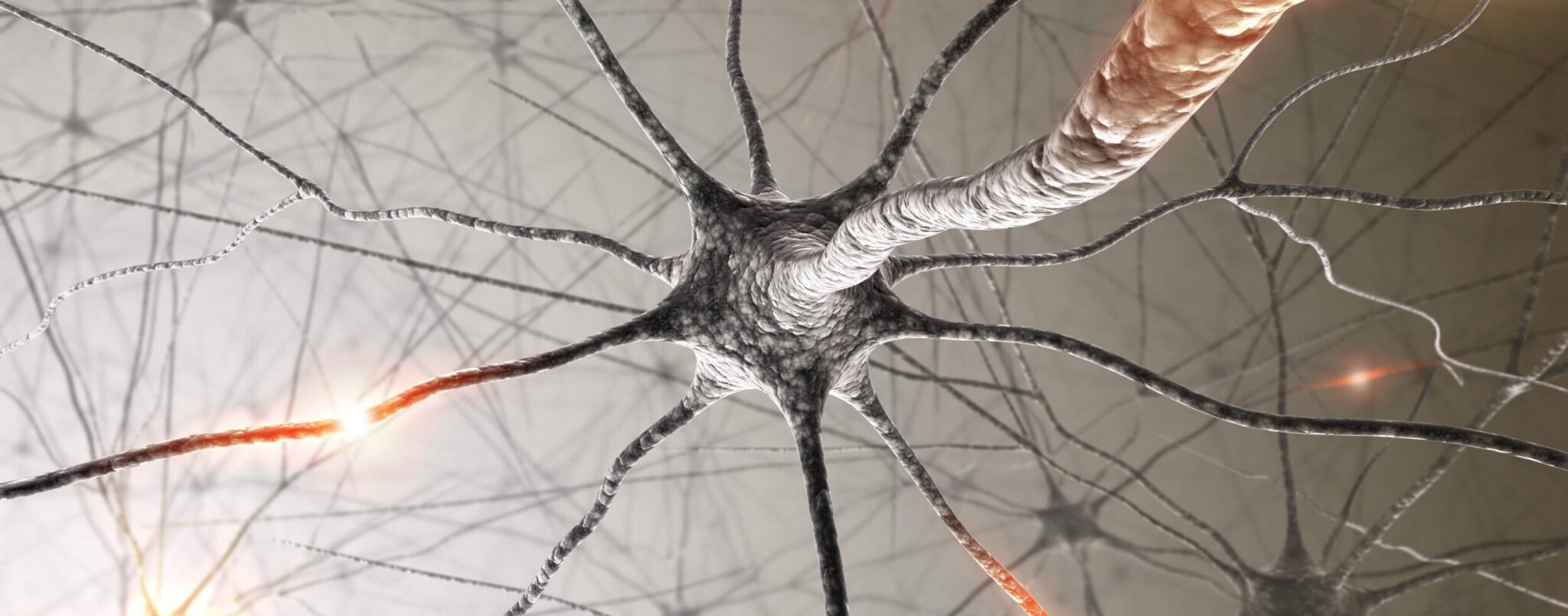 Neuroscienze e grafene: un nuovo passo avanti