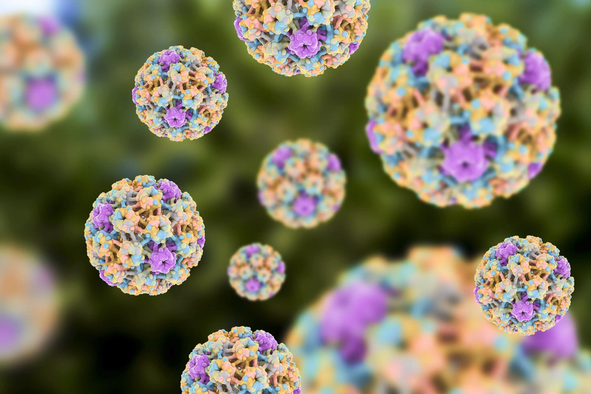 Infezioni da Papilloma Virus (HPV): tra le più trasmesse per via sessuale