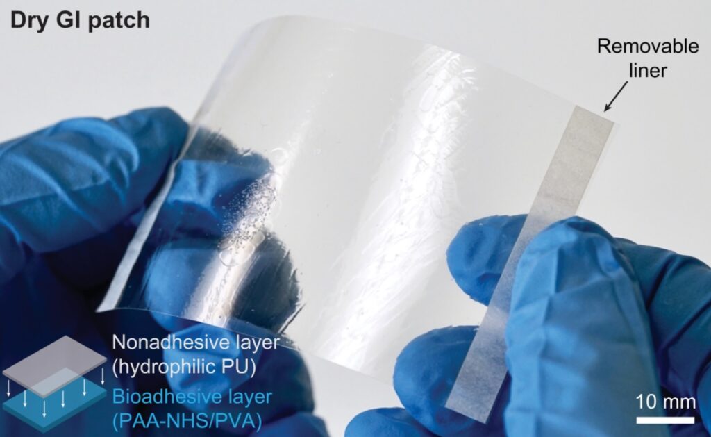 Ingegneri sviluppano nastro adesivo chirurgico come alternativa alle suture. Credits: MIT