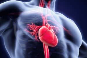 Infarto cardiaco e terapie rigenerative: nuove prospettive