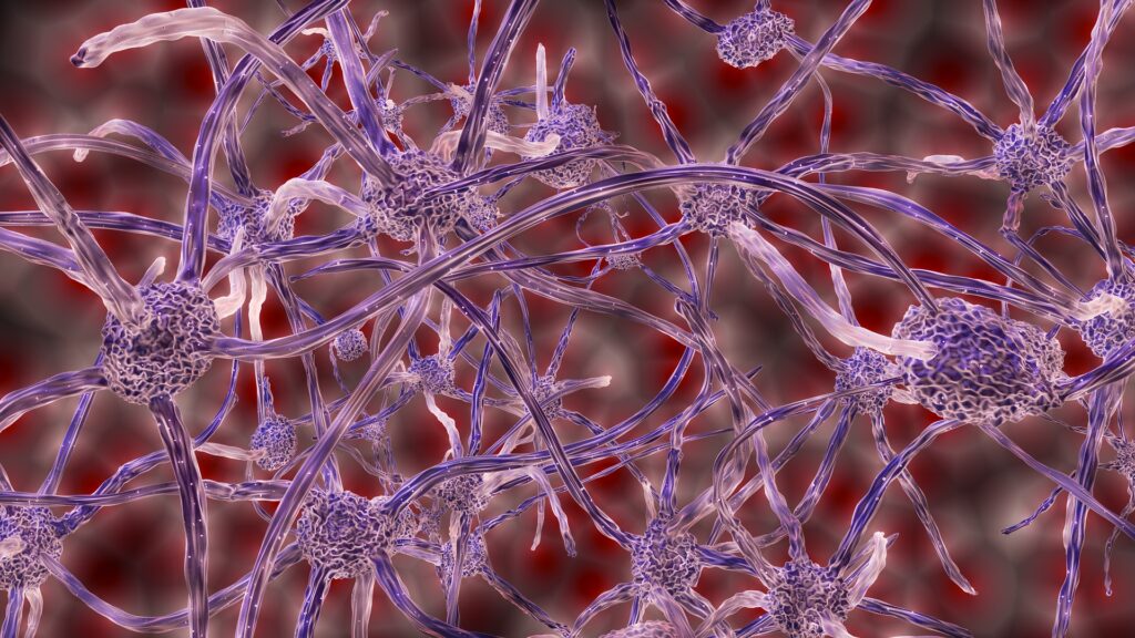 Il cervello e i suoi neuroni in grado di far alzare la febbre