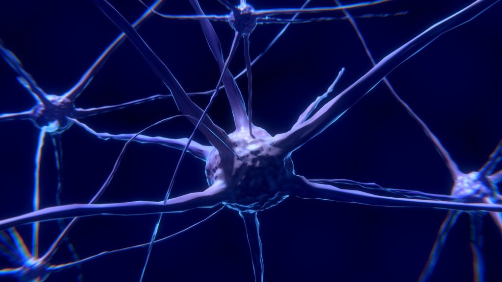 Il cervello e i suoi neuroni in grado di far alzare la febbre