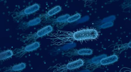 Helicobacter Pylori: nemico del nostro organismo?
