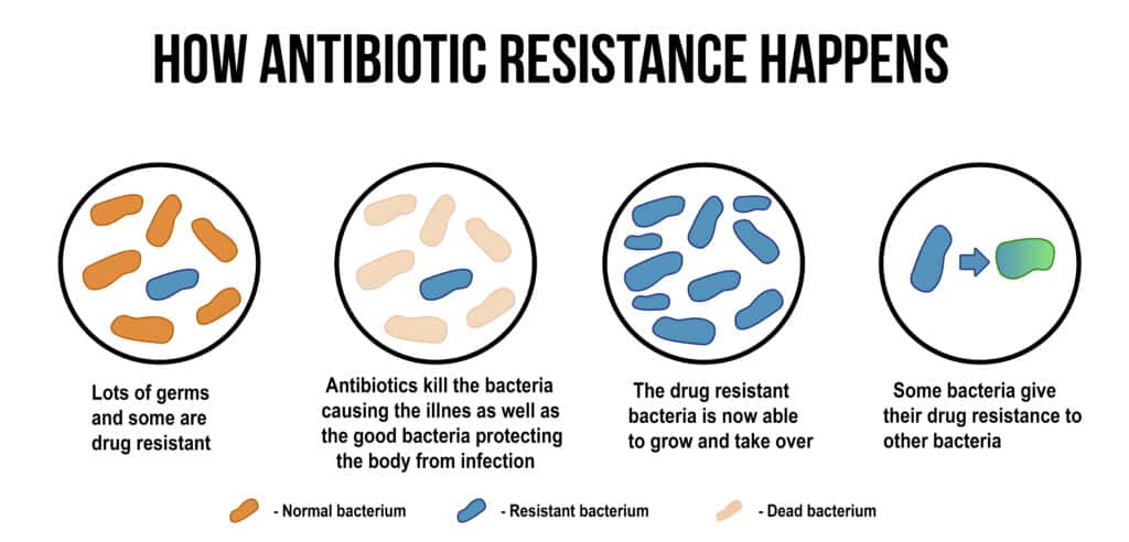 resistenza antibiotici
